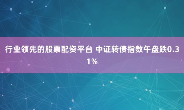 行业领先的股票配资平台 中证转债指数午盘跌0.31%